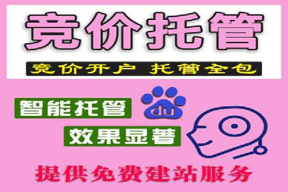 竞价托管服务在电商领域的成功应用